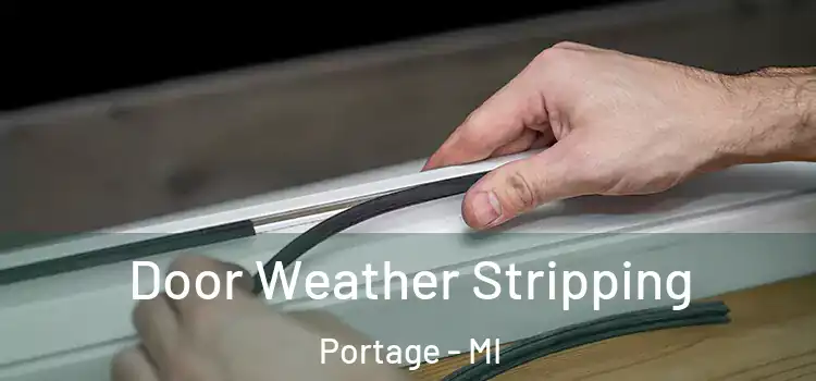 Door Weather Stripping Portage - MI